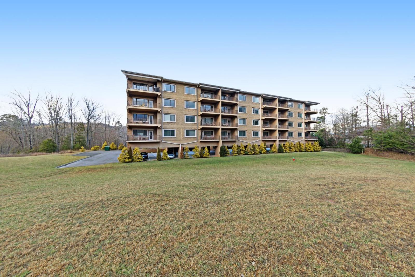 Venus Lodges Condos Main image 2